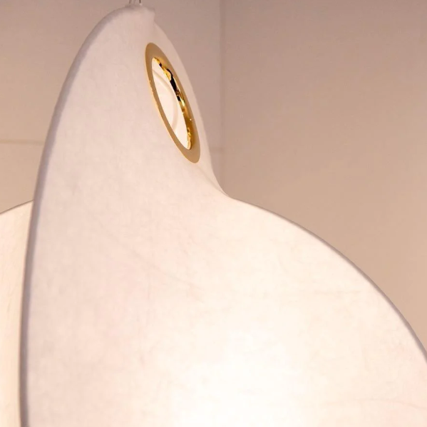 Pendant luminaire Cover