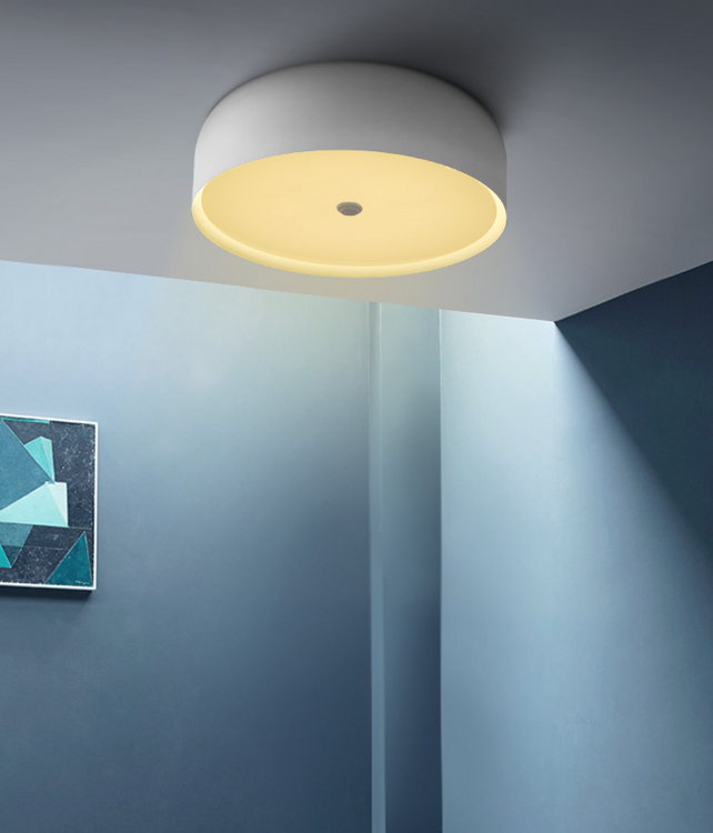 Ceiling Lamp Cheeks