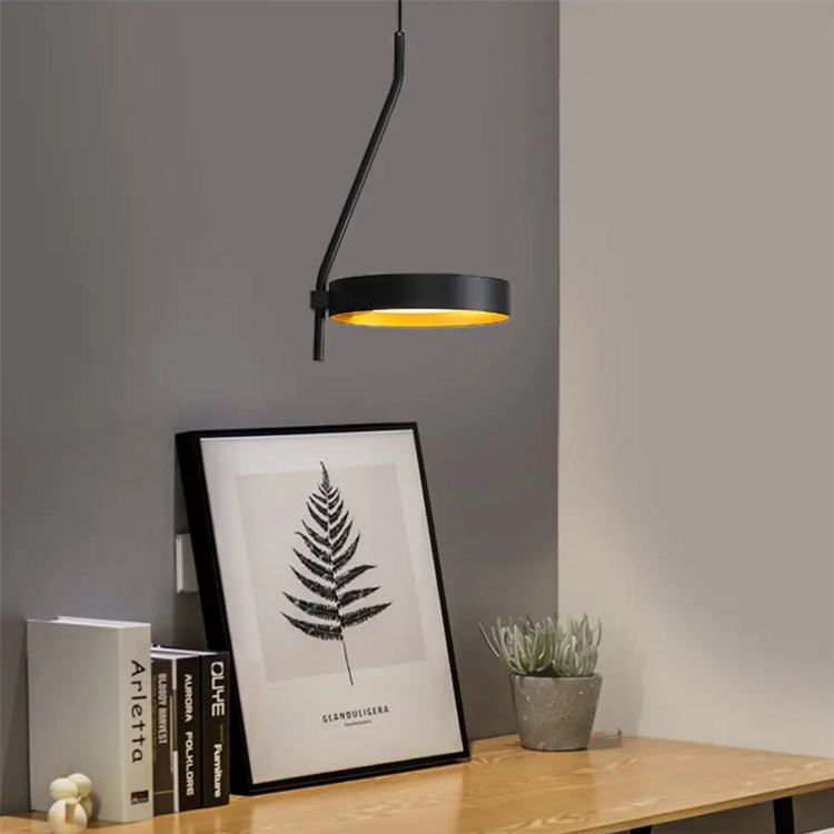 Pendant luminaire Kapp